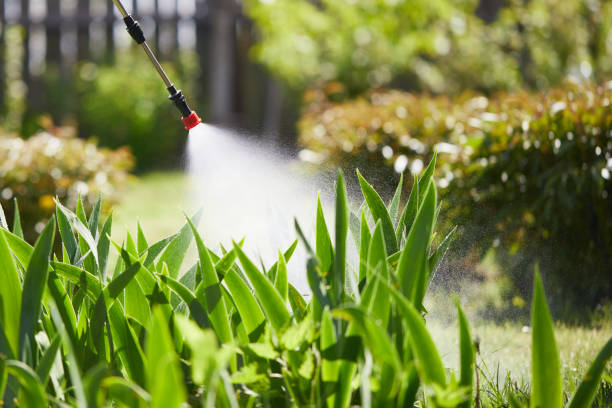 24/7 Emergency Mosquito Control experts in Gastonia, NC